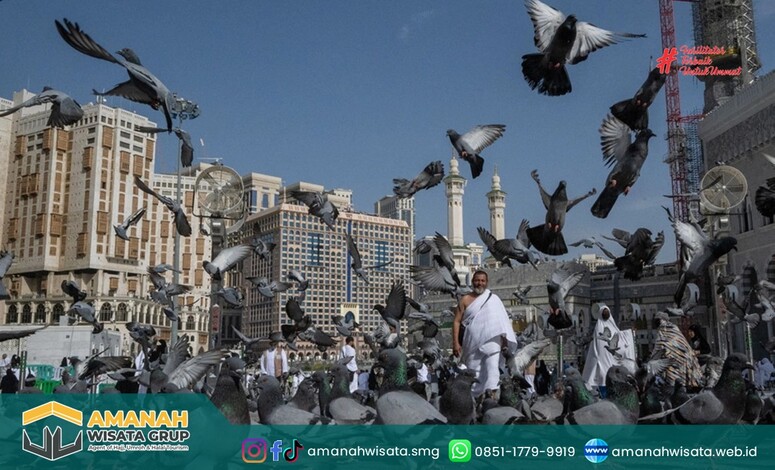 hukum Terkena Kotoran Burung Merpati Masjidil Haram
